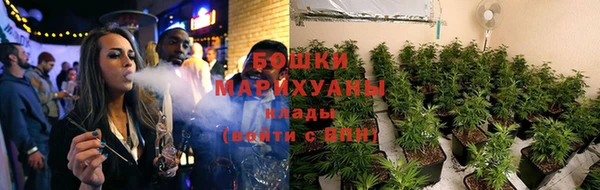 спайс Алексин