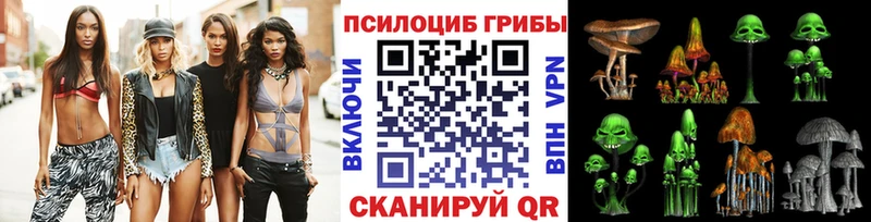 Галлюциногенные грибы Psilocybe  Петушки 